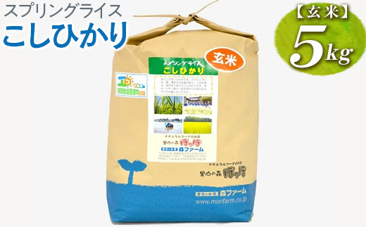 
                  【新米】スプリングライス こしひかり (玄米)5kg | 米 こめ コメ 5キロ 玄米 こしひかり コシヒカリ 古河市産 茨城県産 取り寄せ お取り寄せ ギフト 贈答 贈り物 プレゼント お中元 お歳暮 茨城県 古河市 直送 農家直送 産地直送 送料無料 ※2026年9月～発送 _BI66
                