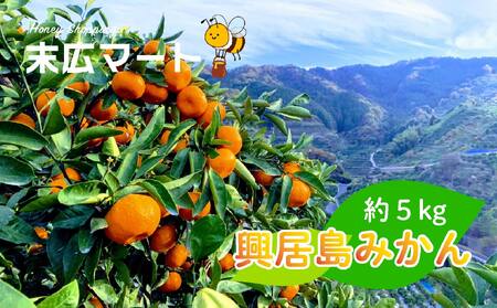 【2026年11月中旬ごろから順次発送】ごご島みかん 約5kg | みかん 蜜柑 柑橘 青果 【SHM0021】