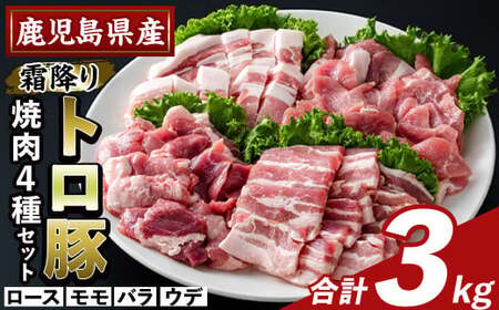 K-379-C 鹿児島県産霜降りトロ豚 焼肉用バラエティセット(合計3kg)【ふるさと産直バザール】霧島市 ロース バラ ウデ モモ 焼き肉 ヤキニク 豚肉 国産 鹿児島県産 肉 精肉 小分け セット 食べ比べ