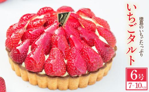 日時指定可 いちごタルト 6号 ケーキカスタードクリーム クレームダマンド フルーツタルト 季節のタルト 苺タルト タルトケーキ 洋菓子 デザート スイーツ お菓子 おやつ ギフト プレゼント 贈答 誕生日 記念日 結婚記念日 内祝い 送料無料 徳島県 阿波市 CAKE EXPRESS