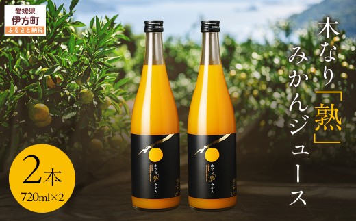 木なり「熟」みかんジュース（720ml×2本） 【 ふるさと納税 人気 おすすめ ランキング ジュース みかんジュース 温州みかん みかん 糖度12度 甘い フルーティ 健康 みかんジュースコンクール 愛媛県 伊方町 送料無料 】 IKTE010
