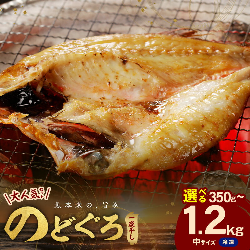 【ふるさと納税】【レビューCP対象】【 産地直送 肉厚ジューシーな のどぐろ！】 のどぐろ一夜干し「大人気セット」選べる 内容量 350g 550g 800g 1.0kg 1.2kg 干物 一夜干し セット 詰め合わせ のどぐろ 贈り物 贈答 ギフト