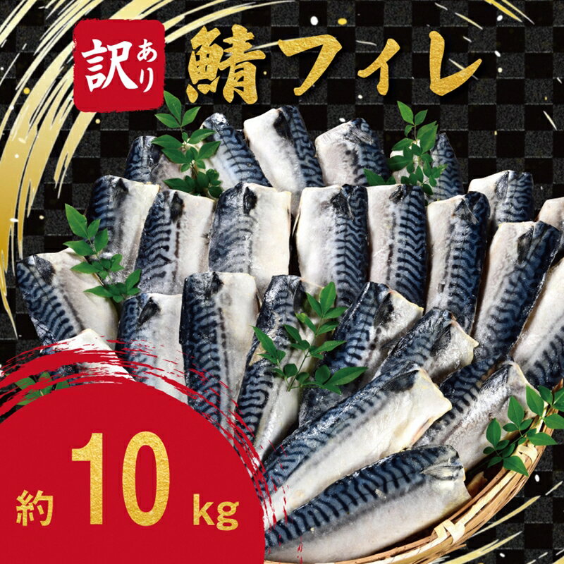 【ふるさと納税】 訳ありサバフィレ 10kg 無塩 【 風味や脂乗りがよく、上品な味わいが特徴的 焼いた後の身もふっくらジューシーで大変美味です！ 10kgの大容量 鯖 切り身 鯖の切り身 ワケアリ 新潟県 燕市 燕三条 】