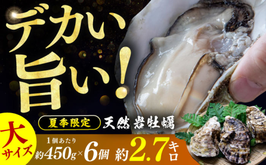 【先行予約 / 2027年6月下旬より順次発送】 若狭湾 生食用 天然岩牡蠣 大6個（軍手、牡蠣ナイフ付き） 小浜市 / 加福鮮魚【配送不可地域：北海道・沖縄・離島】 [BFBC009]