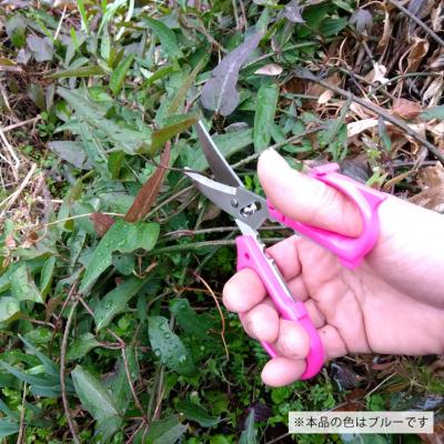 ふるさと納税 関市 花切専用はさみ 花切かれず　ブルー |  | 01