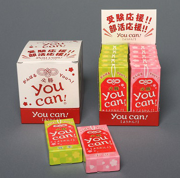 
            【セット】【天山本舗】必勝You Can(一口羊羹)10本(小豆、抹茶)
          