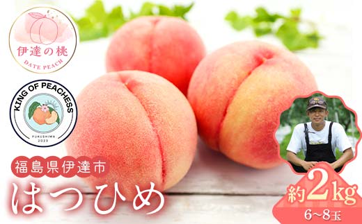 
            キングオブピーチ 桃 「はつひめ」約2kg（6～8玉）はつひめ 伊達の桃 桃 もも モモ 果物 くだもの フルーツ 国産 食品 F21C-133
          