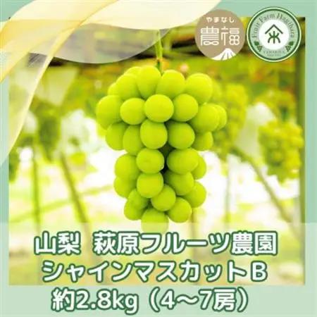 【2026年発送】山梨・萩原フルーツ農園のシャインマスカット B(約2.8kg 4～7房)【配送不可地域：離島】【1559305】