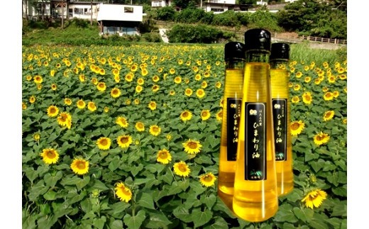 
                  005 ほたるの里のひまわり油
                