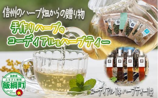 コーディアル 1本 と ハーブティー 1袋 セット 飯綱産 100% 使用 200ml  希釈用 ハーブ オーガニック 沖縄県への配送不可 飯綱ハーバルブリーズ 17500円 長野県 飯綱町 [1928]