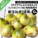 【ふるさと納税】【新玉ねぎ】ひょうご安心ブランド認証 特別栽培の玉ねぎ「戎珠（えびすたま）」 10kg　◆配送2月中旬～5月下旬