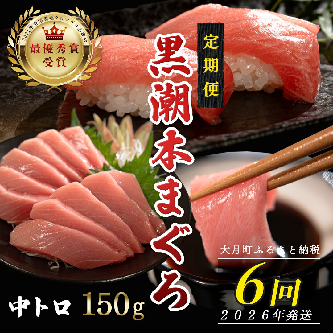 【ふるさと納税】【定期便 6回】日本一!黒潮本まぐろ 中トロ