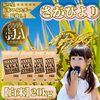 ふるさと納税 大町町 令和7年産『さがびより』白米20kg!(5kg×4袋)特A評価!五つ星お米マイスター厳選!(大町町)