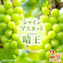 【ふるさと納税】ぶどう 2025年 先行予約 シャイン マスカット 晴王 2房（1房 600g以上）化粧箱入り 岡山県産 フルーツ 果物 ギフト　 果物 フルーツ デザート 食後 上品な香り 高級ぶどう 大粒 種なし 甘い 皮ごと 　お届け：2025年8月下旬～2025年10月中旬