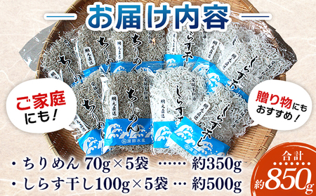 ＜ちりめん＆しらす干し 食べ比べセット＞ 西予市産 ちりめん しらす干し 食べ比べ 健康 カルシウム 詰め合わせ チリメン シラス 魚介 海産物 海鮮 家庭用 贈答用 小分け 国産 特産品 産地直送 