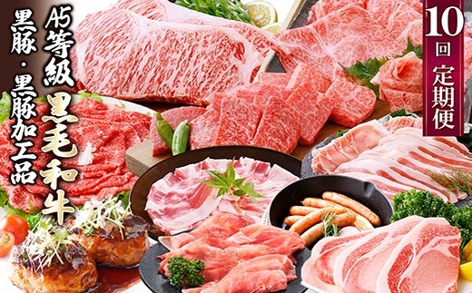 
                  定期便(1年で10回配送)枕崎お楽しみ便(A5等級黒毛和牛・黒豚・黒豚加工品etc) II-6002_ 定期便 黒毛和牛 黒豚 加工品 ハンバーグ 餃子 ステーキ ソーセージ 人気 おすすめ 送料無料 贈答 ギフト 鹿児島県 枕崎 【1166753】
                