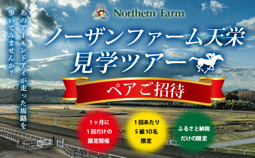 月1回限定開催 ノーザンファーム天栄見学ツアー ペア招待（12月分） 【記念品無し】  期間限定 東北 福島県 天栄村 競馬 ノーザン 応援 思い出 記念 F21T-480