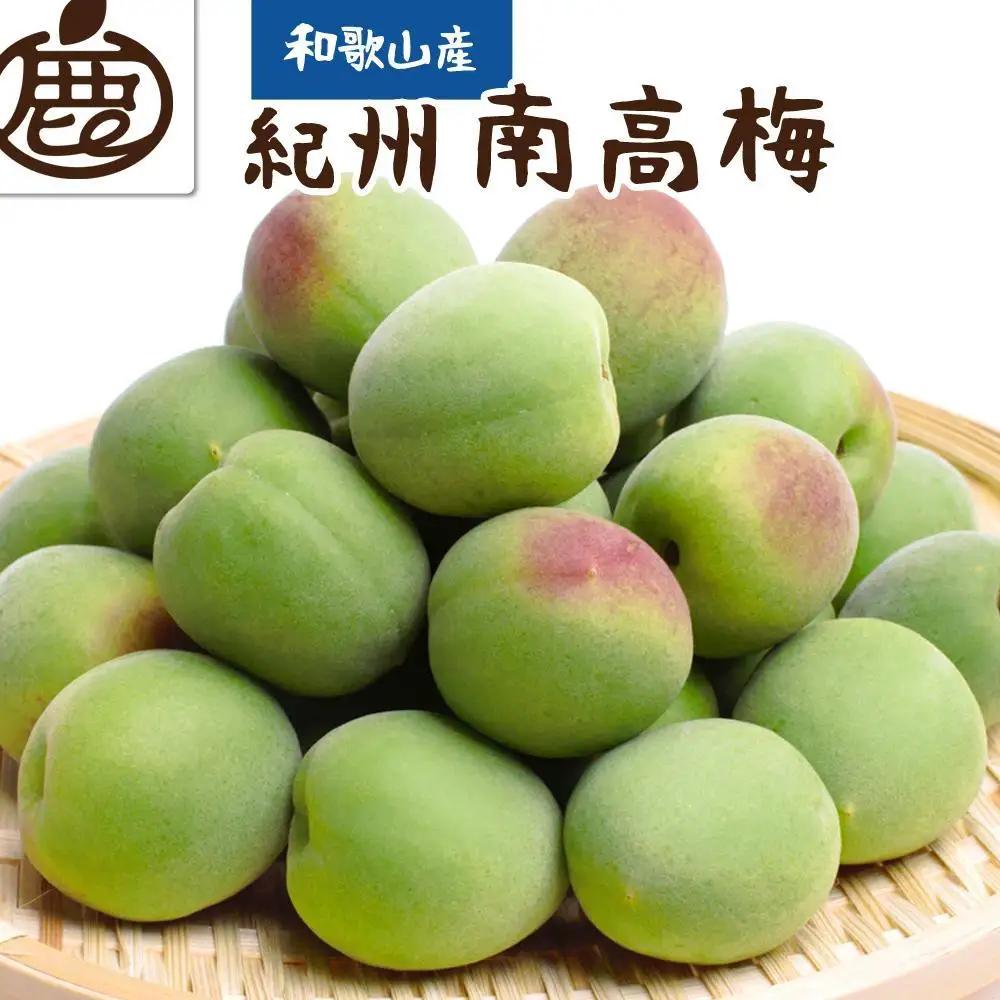 厳選 紀州南高梅(青梅)5kg+250g（傷み補償分）【梅干し・梅酒・梅ジュース】［IKE77］