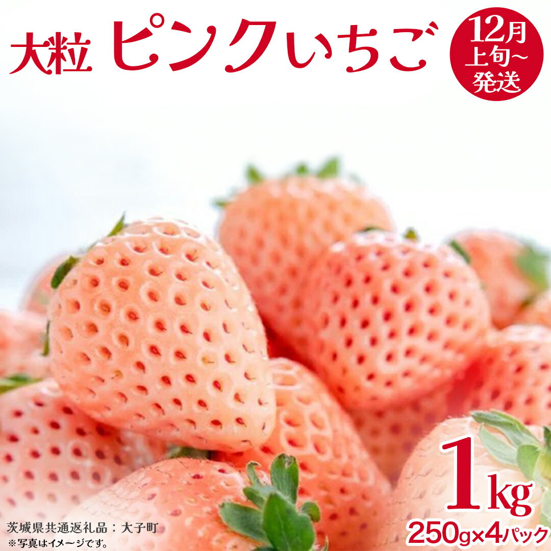 【ふるさと納税】ピンクいちご 大粒 250g（8～12粒）×4パック【2025年12月上旬発送開始】(茨城県共通返礼品：大子町) いちご 苺 果物 フルーツ 果実