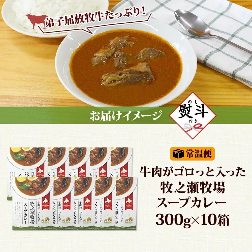 無地熨斗 ビーフ スープカレー 300g 10箱 カレー ビーフカレー スープ 牛 牛肉 放牧牛 牧場 レトルトカレー レトルト食品 レトルト 湯煎 レンジ 牧之瀬牧場 送料無料 北海道 弟子屈町 3