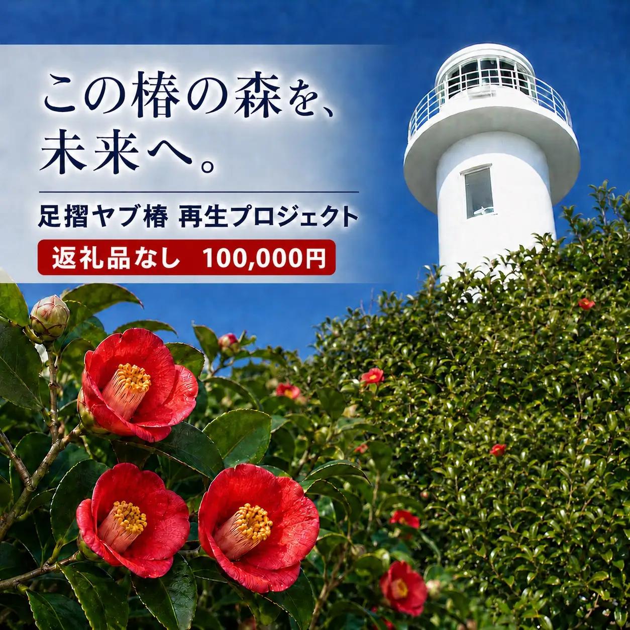 足摺ヤブ椿再生プロジェクト 応援一口 100,000円（30,000円分） ※返礼品なし※ 自然保護 椿 つばき ツバキ 藪椿 ヤブツバキ クラウドファンディング 募金 環境保護 SDGs 高知県【R01754】
