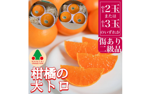 
                  お試し規格 柑橘の大トロ ハウス せとか ちょっと 傷あり 2玉 または 3玉入 手さげ箱 南泰園 和歌山 有田
                