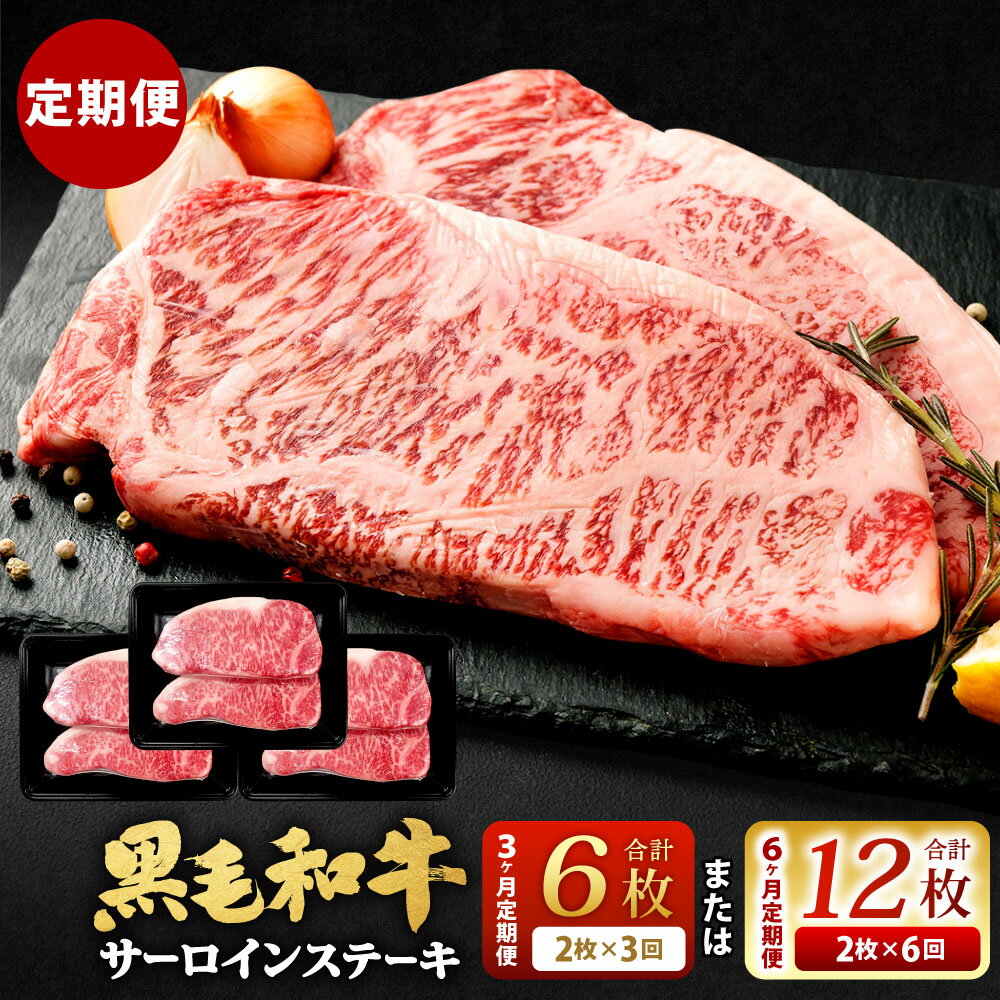 【ふるさと納税】【定期便】選べる 定期回数九州産 黒毛和牛 サーロインステーキ 【3ヶ月定期便 合計約1.5kg(約250g×2枚×3回)】 【6ヶ月定期便 合計約3kg(約250g×2枚×6回)】 ステーキ バーベキュー BBQ アウトドア サーロイン 牛肉 お肉 真空 個包装 定期便 冷凍