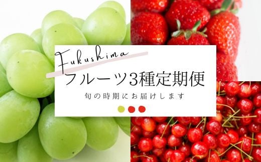 
            No.2277フルーツ3種定期便 シャインマスカット/いちご/さくらんぼ【2025年～2026年発送　先行予約】
          