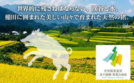 天然猪肉 スライス 700g 宮崎県高千穂町産 ジビエ