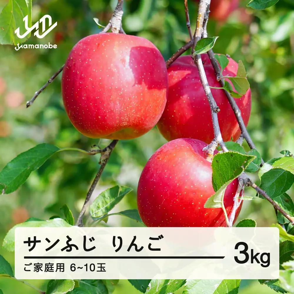 先行予約 ご家庭用 2026年 令和8年産 山形県産 サンふじ りんご 林檎 リンゴ 3kg(6~10玉) yf-risfk3 ※沖縄・離島への配送不可