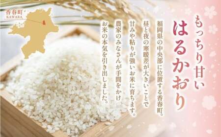 【1ヶ月毎3回定期便】 はるかおり 20kg 計60kg ／ 米 コメ お米 ライス ご飯 ごはん 飯 食品 精米 定期便 常温 福岡県 香春町