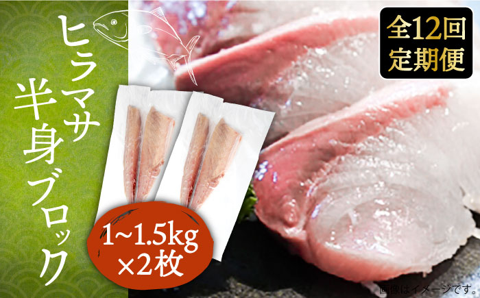 【全12回定期便】ヒラマサフィレ 約2～3kg（1尾）《壱岐市》【なかはら】 [JDT044] ヒラマサ フィレ 柵 刺身 刺身ブロック 刺し身 切身 冷凍 海鮮 海鮮丼 535000 535000円 冷凍配送