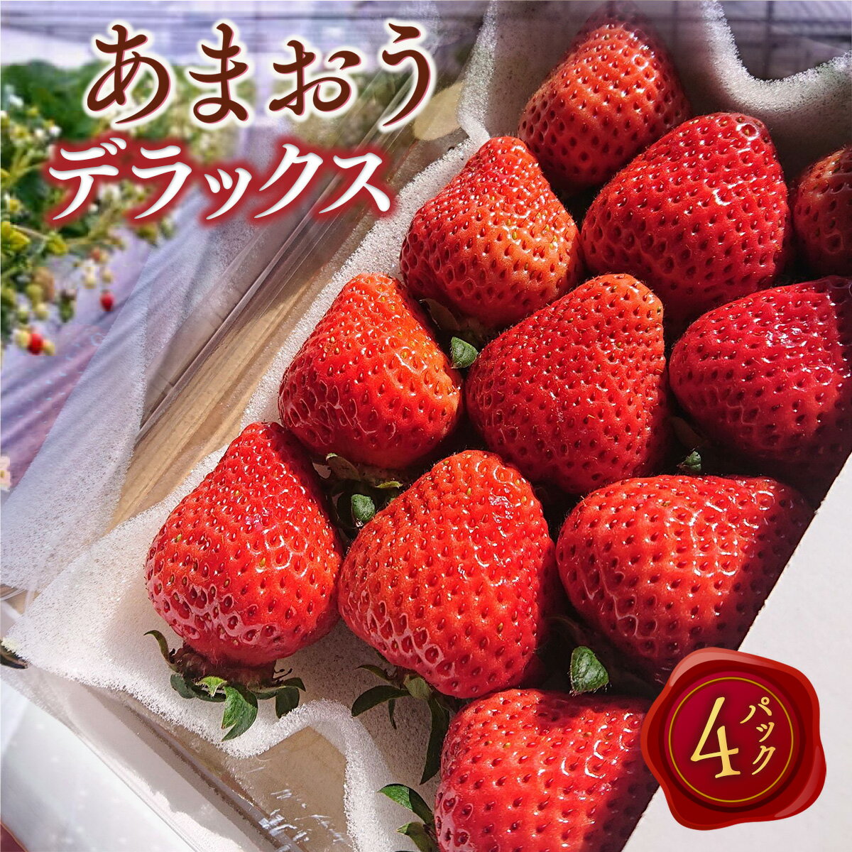 【ふるさと納税】【期間限定発送】 いちご あまおう デラックス 4p [THE FARM_strawberry 福岡県 宇美町 um40azo780001] イチゴ 苺 フルーツ 果実 甘い 小分け