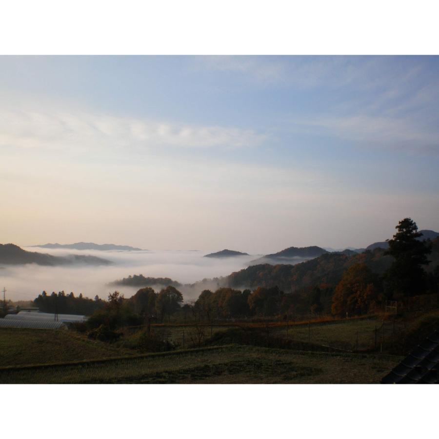 ＜霜尾共造農園＞京都　西方寺平　”棚田米”特別栽培米「コシヒカリ」（農薬不使用）5kg【6ヵ月定期便】