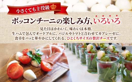 モッツァレラ （ボッコンチーニ6玉）140g×3 ｜ ファットリアビオ北海道 チーズ 北海道 札幌市