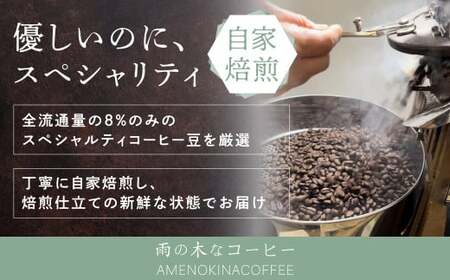 【雨の木なコーヒー】【ペーパーフィルター用挽き豆】 スペシャルティコーヒー豆 2袋 ご家庭用
