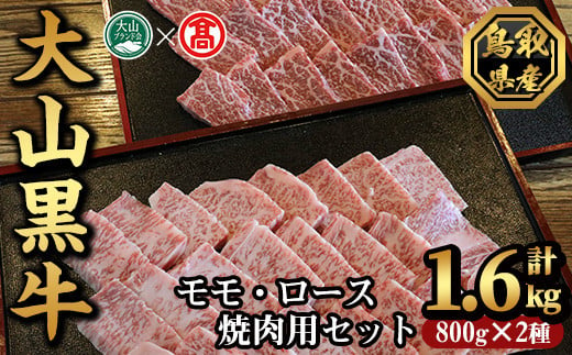 大山黒牛焼肉セット(モモ800g・ロース800g)【T-AC16】【大山ブランド会】