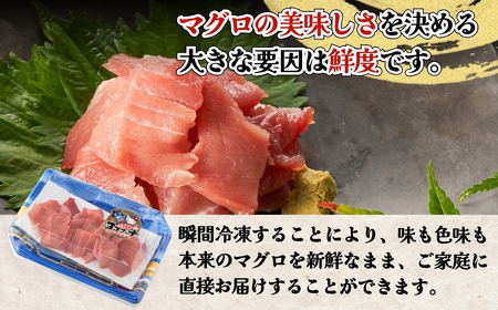 まぐろ中トロ切落し 1パック（100g）　| 津久見市