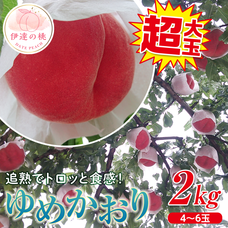 福島県産 ゆめかおり 2kg 新品種 2025年9月中旬～2025年9月下旬発送 2025年出荷分 先行予約  極大玉 大きめ 固め 伊達の桃 桃 もも モモ 果物 くだもの フルーツ 国産 食品  デザート 果実 F20C-372