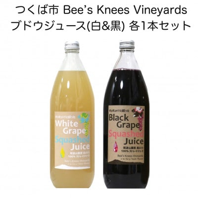 
つくば市 筑波山麓産ぶどうジュース2本セット(白&黒 各1本) ビーズニーズヴィンヤーズ【1463606】
