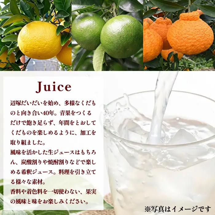 【A83009】辺塚だいだい(生果汁・希釈用) ジュース セット 鹿児島 国産 フルーツ 果物 果実 果汁 ドリンク ストレートジュース 飲み比べ 辺塚だいだい みかん 蜜柑 ギフト 【農地所有適格法