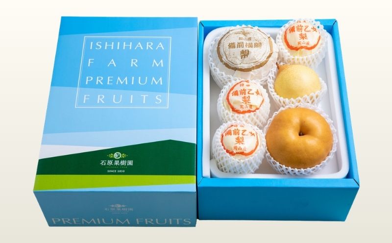 詰め合わせ 4kg箱 赤秀 横綱梨1玉(1～1.5kg玉) 乙女梨4～6玉 岡山県産 | あたご梨 愛宕梨 ヤーリー梨 鴨梨 梨 特選品 上級品 贈り物 御歳暮 果物 くだもの フルーツ 備前横綱梨 備前乙女梨 石原果樹園【ishk035-01】