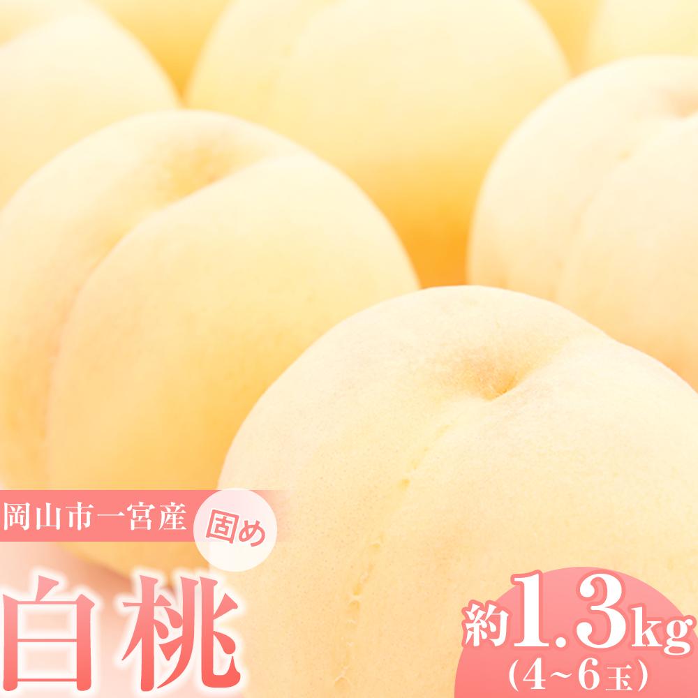 【ふるさと納税】固めの 桃 2026年 ご家庭用 岡山市一宮産 白桃（晩生種）約1.3kg 4～6玉 もも モモ フルーツ 果物 犬塚農園 | もも フルーツ 果物 くだもの 食品 人気 おすすめ 送料無料