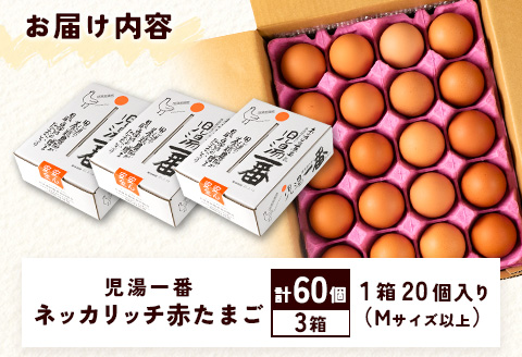 ＜児湯養鶏自慢の卵 ＞ネッカリッチ赤たまご「児湯一番」計60個（20個入×3箱）【B23】