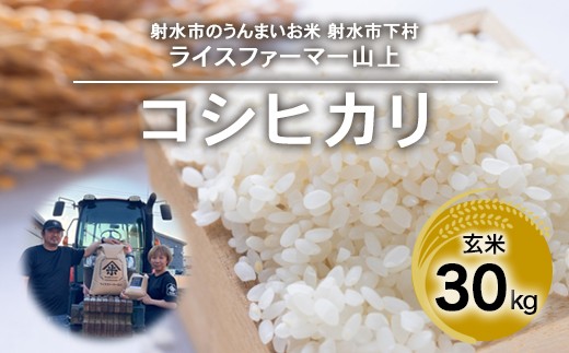 【射水市】【ライスファーマー山上】【農家直送】【射水の美味しいお米】R8年産コシヒカリ30kg【玄米】｜米 お米 新米 令和8年産米 ブランド米 銘柄米 精米 コシヒカリ こしひかり こめ お中元 ギフト ご飯 ごはん 30kg 30キロ 富山 人気米 ランキング米 北陸米 富山コシヒカリ 人気コシヒカリ 新米コシヒカリ ※2026年10月上旬～10月下旬頃に順次発送予定 ※離島への配送不可
