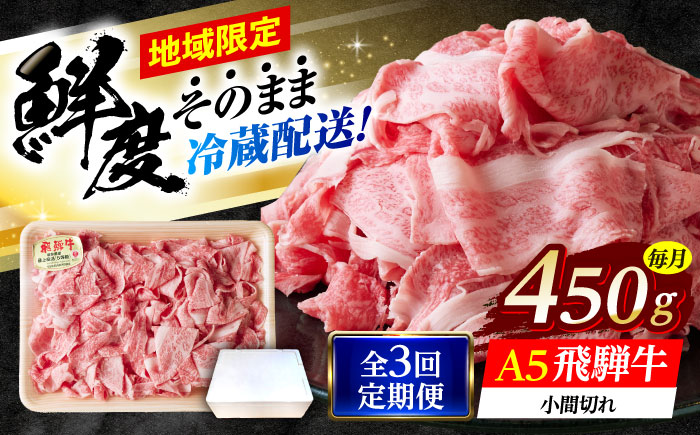 【3回定期便】 ※冷蔵配送/地域限定※ 飛騨牛 小間切 450g 瑞浪市 / きなぁた瑞浪 和牛 国産 岐阜県産 [AZCI068]