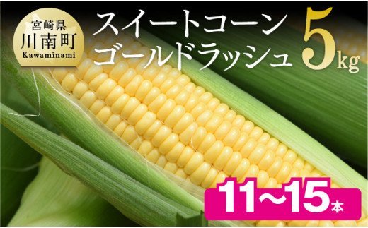 【令和7年発送】朝どれ！守部さんちのゴールドラッシュ5kg【 とうもろこし スイートコーン トウモロコシ スィートコーン 令和7年発送 】 [D06406]