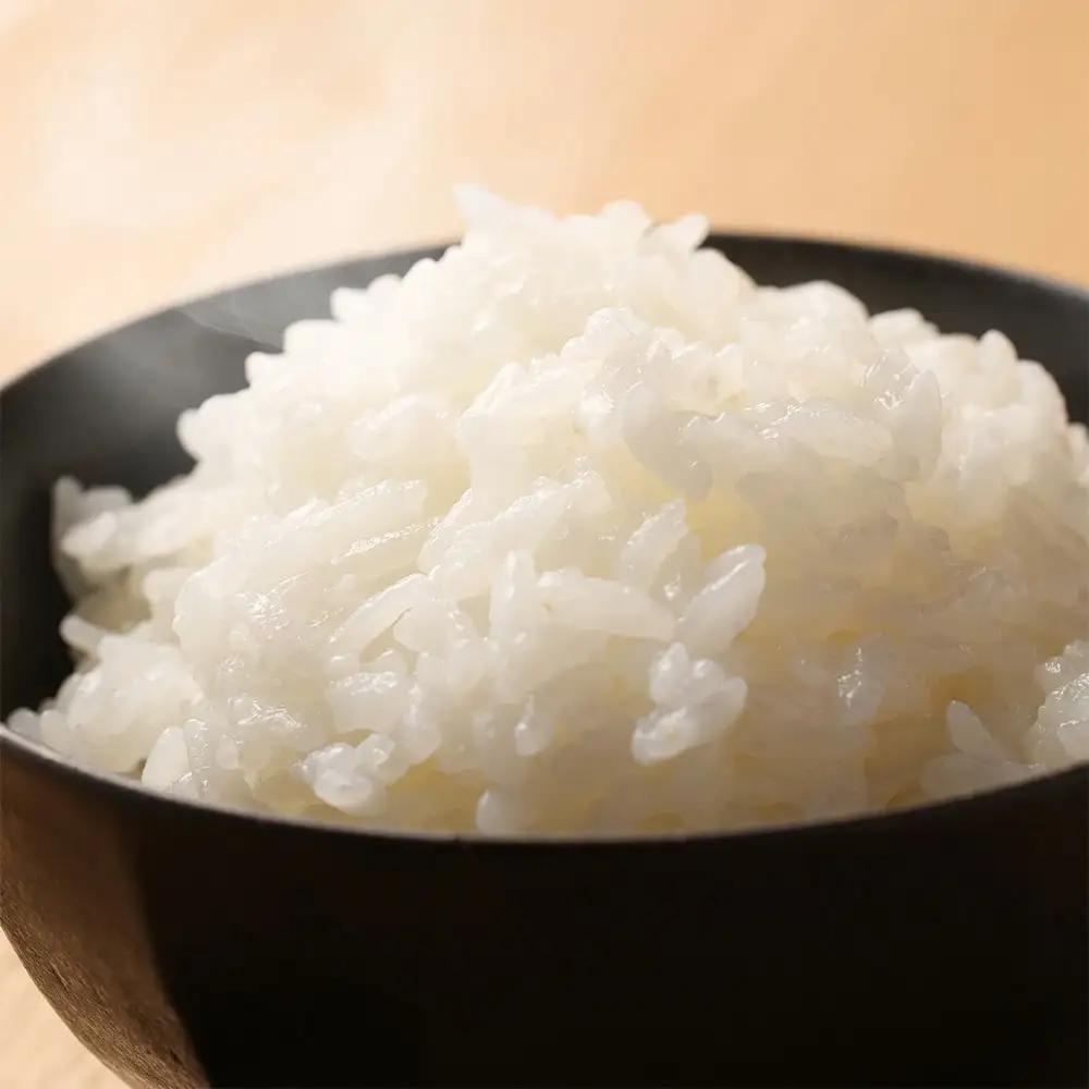 【令和7年産米】【定期便】こしひかり 5kg×3回【51-C】