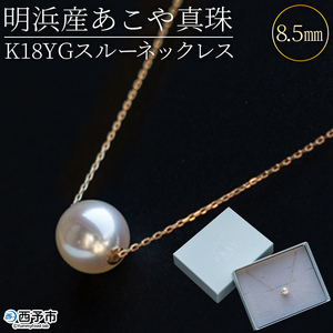 明浜産あこや真珠8.5mm K18Ygスルーネックレス APR0001
