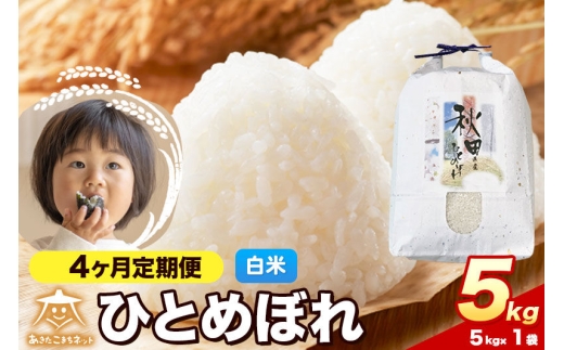 令和8年産 新米受付《定期便4ヶ月》ひとめぼれ 5kg【白米】秋田県産 [ひとめぼれ お米 精米 小分け 定期便 5kg袋]